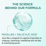 Garnier Micellar Water with Salicylic Acid Duo