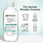 Garnier Micellar Water with Salicylic Acid Duo
