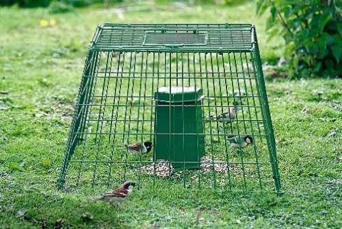Ground Feeding Bird Guard - Small Mesh by JUST GREEN