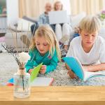 100PCS Natural Rattan Reed Diffuser Sticks