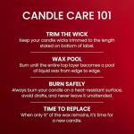 Yankee Candle 22 oz Macintosh Scented Jar Candle