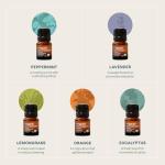 Organic Essential Oils Set - Top 5 Aromatherapy