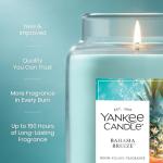 Bahama Breeze Large Scented Candle – 150 Hour Burn