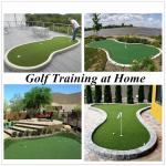 Indoor Golf Putting Green Turf - Custom Size 5FTx10FT
