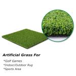 5x10 ft Indoor Outdoor Golf Putting Green Turf