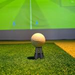 Glooglitter Golf Spot Light with 20 Tees