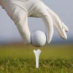 Hoodancos 50-Pack 39mm Golf Training Tees