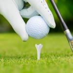 Hoodancos 50-Pack 39mm Golf Training Tees