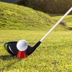 Curtek 16-Piece Indoor Golf Rubber Tee Set