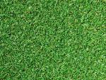 Indoor/Outdoor 12x15 Feet Golf Practice Turf