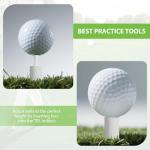 Rubber Golf Tees and Holders Set for Practice