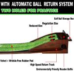 Indoor Putting Green with Automatic Ball Return