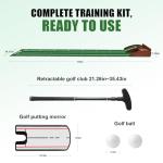 Lovegoo Indoor Golf Putting Green with Auto Return