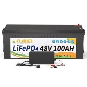 FLLYROWER 48V Lithium Battery 100AH With 150A Smart BMS and 16500 Deep Cycles 48V 100AH Lifepo4 Battery Grade A Cells for Marine Trolling Motor RV camping Solar Golf Cart Off-Grid