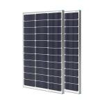 Renogy 100W Monocrystalline Solar Panels - 2-Pack
