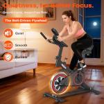 RELIFE Indoor Stationary Exercise Bike with LCD Monitor