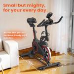 RELIFE Indoor Stationary Exercise Bike with LCD Monitor