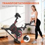 RELIFE Indoor Stationary Exercise Bike with LCD Monitor