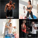 175lb Resistance Bands Set with Handles and Straps