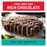 CLIF Bar Cool Mint Chocolate Protein Energy Bars