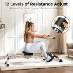 Compact Adjustable Rowing Machine for Full Body Workout