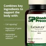 Cataplex E Thyroid Health Support - 360 Tablets