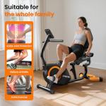 Quiet Recumbent Exercise Bike with LCD Display