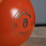 Titan Fitness 12 KG Color-Coded Kettlebell for Workouts