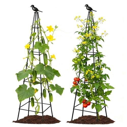 2 Pack Garden Trellis for Climbing Plants Outdoors, 70inch Tower Obelisk Trellis for Potted Climbing Plants, Plant Support for Potted Flowers, Roses, Tomatoes, Cucumbers & Vegetables