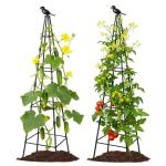 2 Pack Garden Trellis for Climbing Plants Outdoors, 70inch Tower Obelisk Trellis for Potted Climbing Plants, Plant Support for Potted Flowers, Roses, Tomatoes, Cucumbers & Vegetables