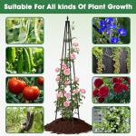 Obelisk Trellis for Climbing Plants, 6 FT Garden Trellises with 16mm Thickened Plastic-Coated Metal Pipes, Trellis for Climbing Potted Plant Vine Flower Rose Vegetable Tomato Cucumber Outdoor Indoor