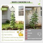 Obelisk Trellis for Climbing Plants Outdoor, 6.2 FT Plant Support for Tomato, Rose, Flowers, Grape, Pea, Cucumber, Rustproof Plastic Coated Metal Plant Tower for Potted Plants - 1PC Garden Trellis