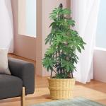 AlisisFores 4 Ft Tower Obelisk Trellis for Potted Climbing Plants, Garden Trellis Rustproof Plastic Coated Metal Plant Support for Vegetables, Vines and Rose Bushes