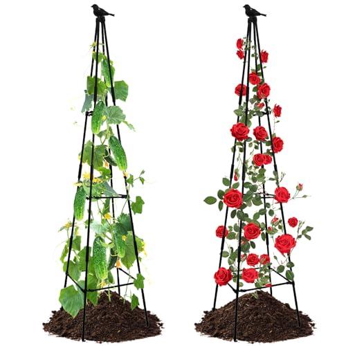 Lalahoni Garden Trellis for Climbing Plants, 67inch Tall Garden Obelisk Trellis for Climbing Potted Plant Outdoor Support Vine Flower Rose Vegetable Tomato Cucumber Trellis, Lightweight, 2 Pack