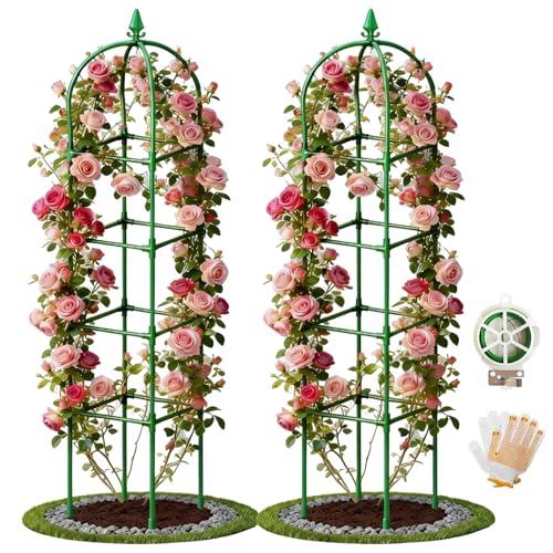 2 Pack Garden Obelisk Trellis for Climbing Plants, 72" Metal Rustproof Rose Trellis, Tower Potted Cages Plant Support for Flowers/Vegetables/Vines, Indoor Outdoor Garden Patio