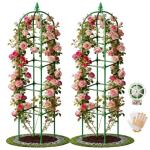 2 Pack Garden Obelisk Trellis for Climbing Plants, 72" Metal Rustproof Rose Trellis, Tower Potted Cages Plant Support for Flowers/Vegetables/Vines, Indoor Outdoor Garden Patio