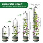 6.2ft Garden Obelisk Trellis for Climbing Plants Rustproof Metal Pipe with Heavy Duty Plastic Coated Garden Outdoor Indoor Potted Plant Support for Clematis Vine Jasmine Support