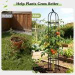Obelisk Trellis for Climbing Plants Outdoor, 6.2 FT Plant Support for Tomato, Rose, Flowers, Grape, Pea, Cucumber, Rustproof Plastic Coated Metal Plant Tower for Potted Plants - 1PC Garden Trellis