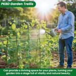 PKBD Tall Garden Arch Trellis for Climbing Plants Outdoor, 4 ft Tall Polyethylene-Coated Stainless Steel Garden Arch for Climbing Vine Vegetable/Fruit/Flower, Cucumber Trellis for Raised Bed, Black