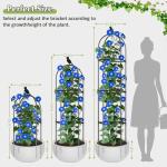 Square Tomato Cages for Garden, 6.2 FT Cucumber Trellis for Flowers