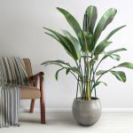 Hsundries 5.2FT Obelisk Trellis for Climbing Plants Outdoor, 16mm Rust-Proof Extra Thickened Plastic-Coated Metal Pipes, Indoor Climbing Support for Potted Plants, Vines, Flowers Stands,Black