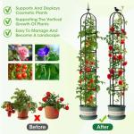 2026 Updated Garden Obelisk Trellis for Climbing Plants Outdoor, 6.3 FT Tomato Cage, Rose, Flowers, Grape, Pea, Cucumber Trellis, Rustproof Plastic Coated Metal Plant Support Trellis for Potted Plants