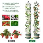 6.2ft Garden Obelisk Trellis for Climbing Plants Rustproof Metal Pipe with Heavy Duty Plastic Coated Garden Outdoor Indoor Potted Plant Support for Clematis Vine Jasmine Support