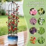 Obelisk Trellis for Garden Plants Climbing: 6ft Rustproof Metal Pipe with Plastic Coated - Potted Plant Climber Support for Outdoor Indoor Grape Vines Vegetable Fruits Flowers (1PC)