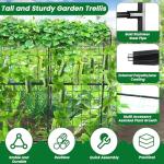 PKBD Tall Garden Arch Trellis for Climbing Plants Outdoor, 4 ft Tall Polyethylene-Coated Stainless Steel Garden Arch for Climbing Vine Vegetable/Fruit/Flower, Cucumber Trellis for Raised Bed, Black