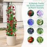 2 Pack Garden Obelisk Trellis for Climbing Plants, 71" Metal Rustproof Plant Support Rose Trellis, Tower Potted Cages for Flowers Fruits Vegetable Vines Indoor & Outdoor, Green(4 Tiers)