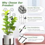2 Pack 30 Inch Taller Plant Trellis for Potted Climbing Plants Indoor,Expandable Metal Garden Trellis for Climbing Plants,Flowers Vine Ivy, Sturdy Houseplant Support for Potted Plants with Ties