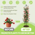 Jesosia Obelisk Trellis for Climbing Plants Outdoor - Heavy Duty Plastic Coated Steel Core Garden Arch Metal Trellis - Rustproof Tomato Cage Vertical Plant Support for Vines Vegetables Flowers Indoor