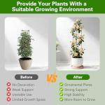 2 Pack Garden Obelisk Trellis for Climbing Plants, 72" Metal Rustproof Rose Trellis, Tower Potted Cages Plant Support for Flowers/Vegetables/Vines, Indoor Outdoor Garden Patio