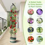 2026 Updated Garden Obelisk Trellis for Climbing Plants Outdoor, 6.3 FT Tomato Cage, Rose, Flowers, Grape, Pea, Cucumber Trellis, Rustproof Plastic Coated Metal Plant Support Trellis for Potted Plants